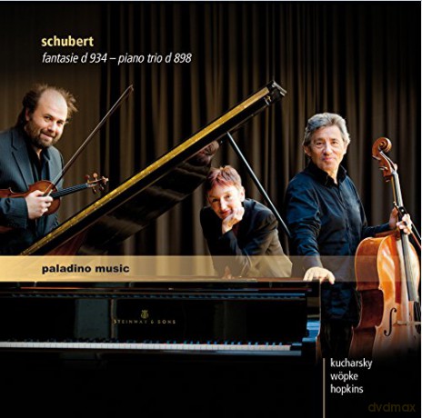 Kucharskywopkehopkins: Schubertfantasiepiano Trio [CD]