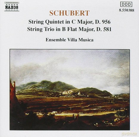 Ensemble Villa Musica: Schubertstring Quintetstring Trio [CD]
