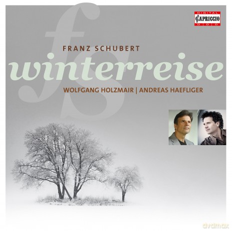 Holzmairhaefliger: Schubertwinterreise [CD]