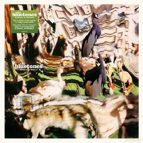 Bluetones: Science And Nature [Winyl]
