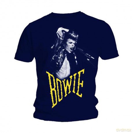 David Bowie: Scream Large