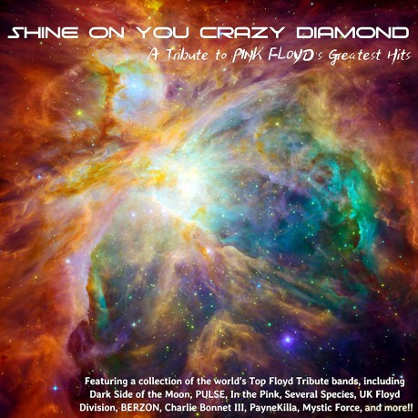 Shine On You Crazy Diamond: A Tribute To Pink Floyds Greatest Hits [CD]
