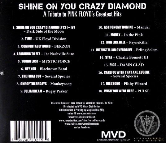 Shine On You Crazy Diamond: A Tribute To Pink Floyds Greatest Hits [CD]