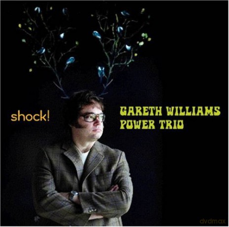 Gareth Williams Power Trio: Shock [CD]