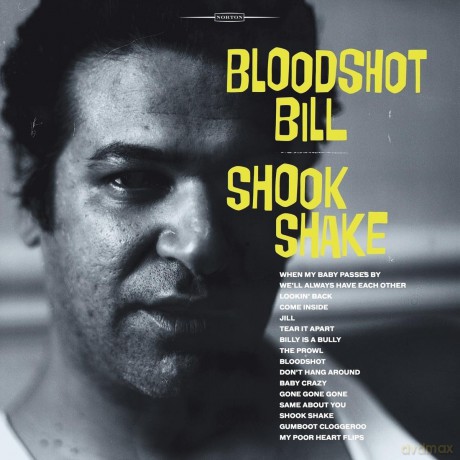 Bloodshot Bill: Shook Shake [CD]