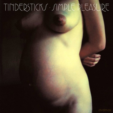 Tindersticks: Simple Pleasures [2xWinyl]