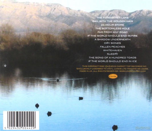 Handsome Family: Singing Bones [CD]