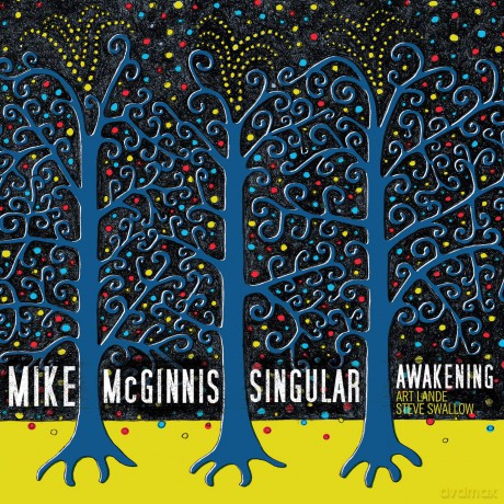 Mike Mcginnis: Singular Awakening [CD]