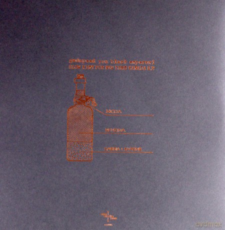Godspeed You! Black Emperor: Slow Riot For A New Zero Kanada [Winyl]
