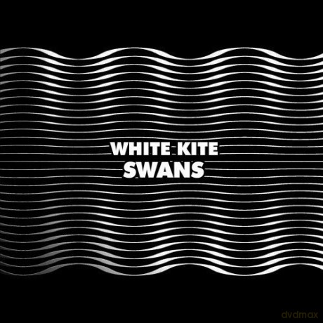 White Kite: Swans [Winyl]