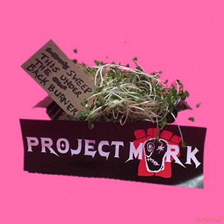 Project Mork: Sweep This Under The Backburner (Green) [Winyl]