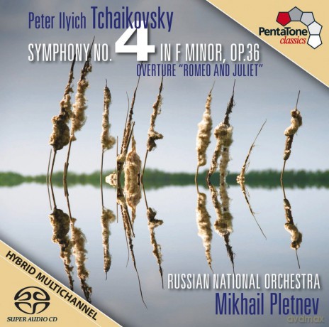 Mikhail Pletnev - Russian No: Tchaikovsky - Symphony 4 [CD]