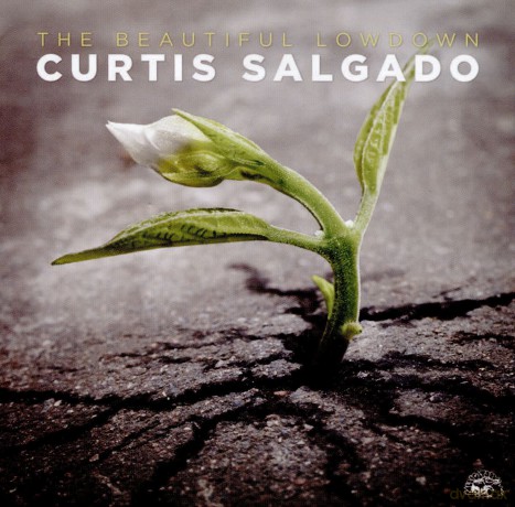 Curtis Salgado: The Beautiful Lowdown [CD]