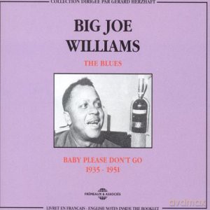 Big Joe Williams: The Blues: Baby Please Dont Go 1935-1951 [2CD]