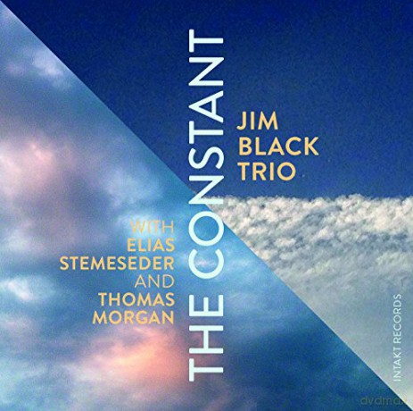Jim Black Trio: The Constant [CD]