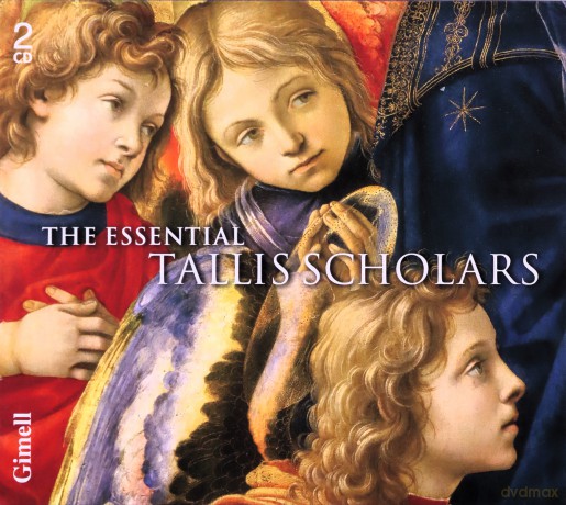 Tallis Scholars: The Essential Tallis Scholars [CD]
