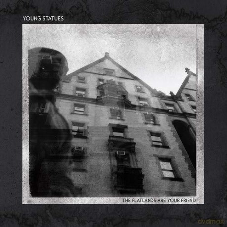 Young Statues: The Flatlands Are Your Friend [Winyl]