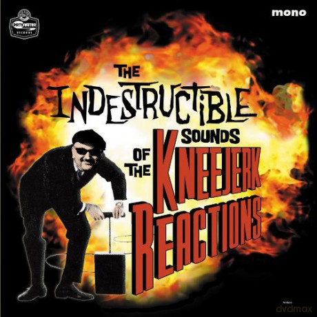 Kneejerk Reactions: The Indestructible Sounds Of [Winyl]