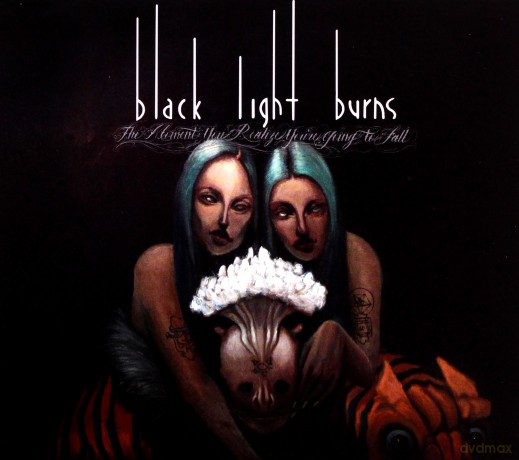 Black Light Burns: The Moment You Realize [CD]