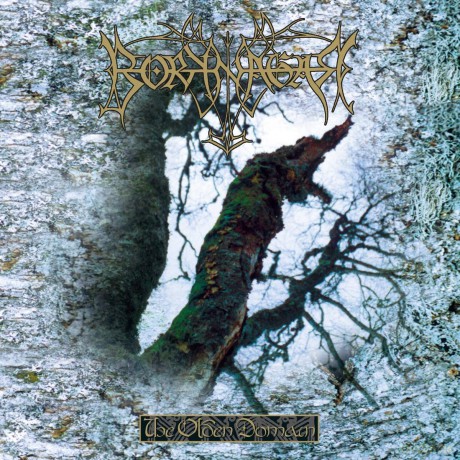 Borknagar: The Olden Domain [Winyl]