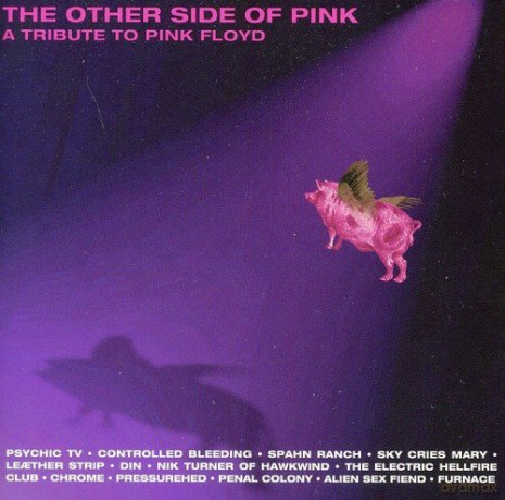 The Other Side Of Pink - A Tribute [CD]