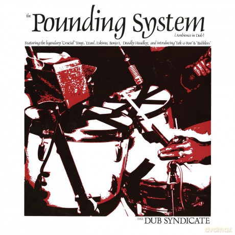 Dub Syndicate: The Pounding System [Winyl]