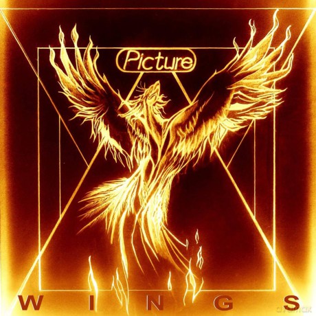 Picture: Wings [CD]