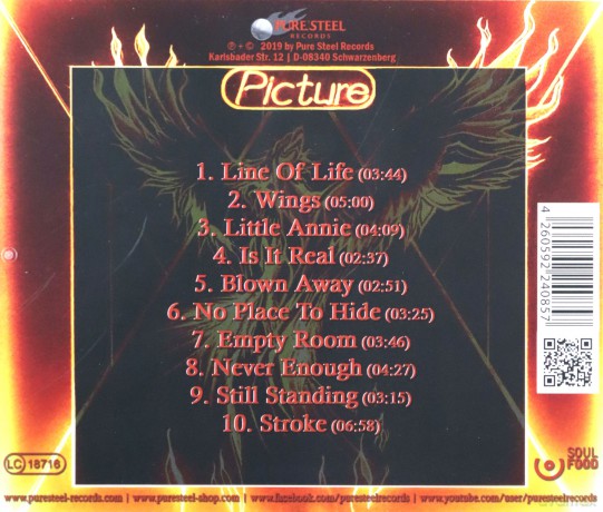 Picture: Wings [CD]