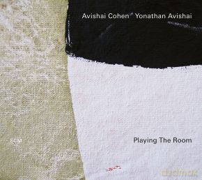Avishai Cohen: Playing Th Room [CD]
