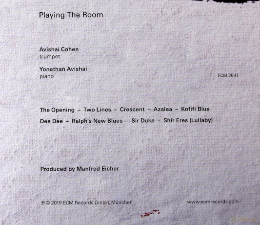 Avishai Cohen: Playing Th Room [CD]
