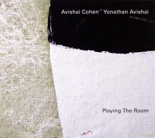 Avishai Cohen: Playing Th Room [CD]