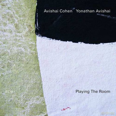Avishai Cohen: Playing Th Room [Winyl]