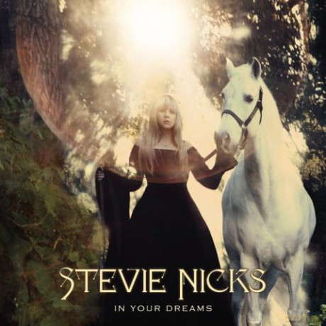 Stevie Nicks: In Your Dreams [CD]