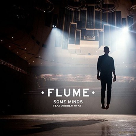 Flume: Some Minds [Winyl]