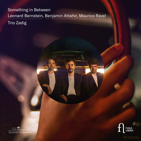 Trio Zadig: Something In Between [CD]