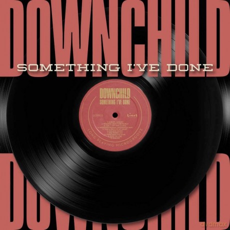 Downchild: Something IVe Done [CD]