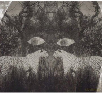 Rakka: Soutu [CD]