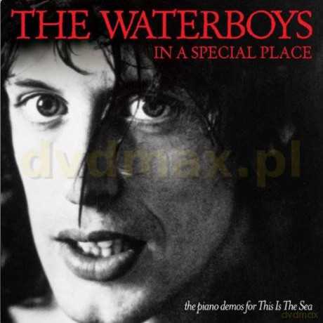 The Waterboys: In A Special Place [CD]