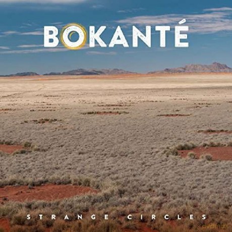 Bokante: Strange Circles [CD]