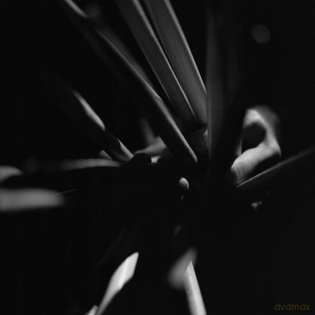 Andrea Belfi: Strata [Winyl]