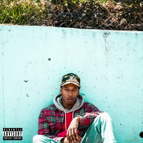 Cousin Stizz: Suffolk County [Winyl]