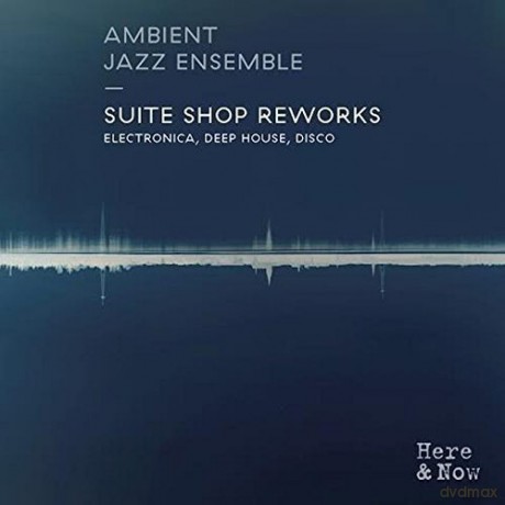 Ambient Jazz Ensemble: Suite Shop Reworks [Winyl]