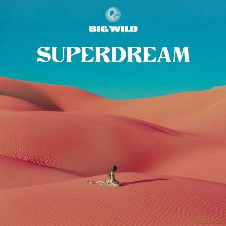 Big Wild: Superdream [CD]