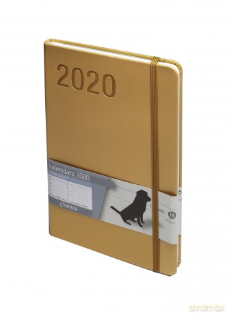 Kalendarz 2020 minimalizm A5 musztardowy [KALENDARZ]