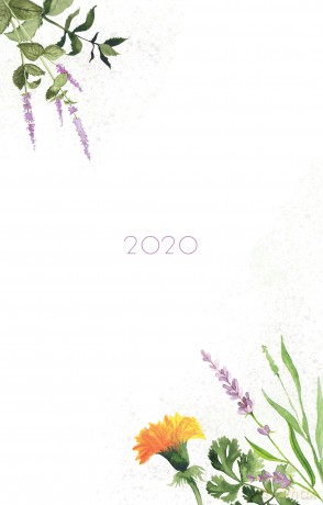 Kalendarz 2020 zielnik [KALENDARZ]