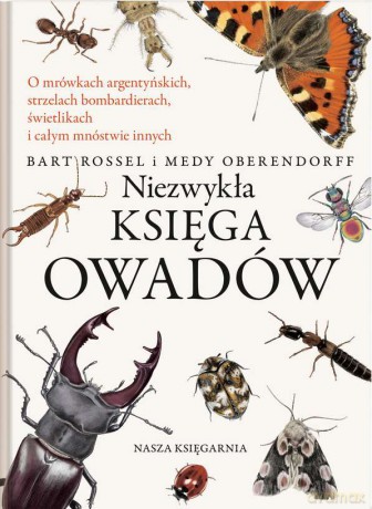 Niezwykła księga owadów - Bart Rossel [KSIĄŻKA]