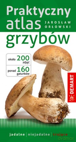 Praktyczny atlas grzybów - Jarosław Orłowski [KSIĄŻKA]