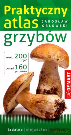 Praktyczny atlas grzybów - Jarosław Orłowski [KSIĄŻKA]