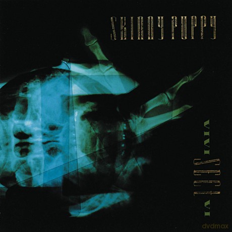 Skinny Puppy: Vivi Sect VI [Winyl]