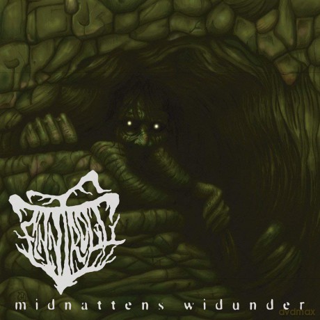 Finntroll: Midnattens Widunder (Reissue) [Winyl]